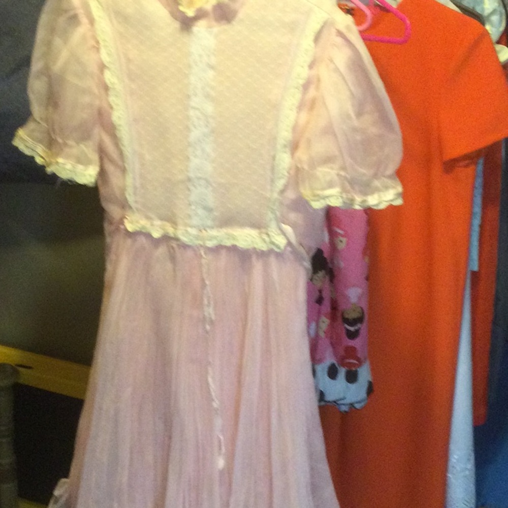 Delicate Sheer Pink Puff Sleeve Dress with Lace Trim
